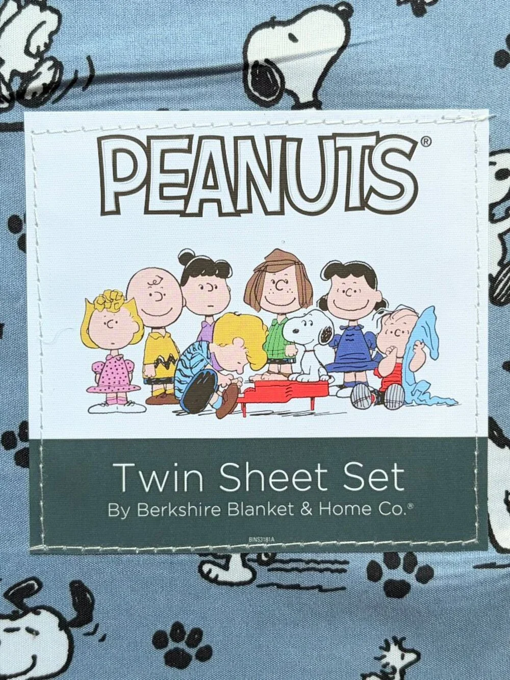 Peanuts snoopy twin